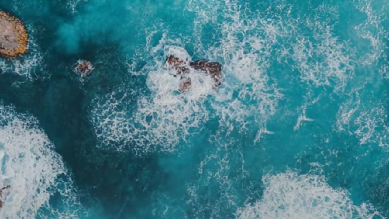 Discover the Wonders of the Indian Ocean!