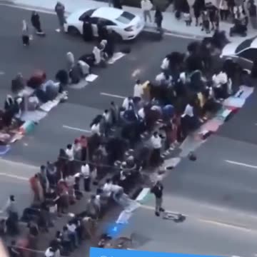 Moooslims in Canada blocking motorists