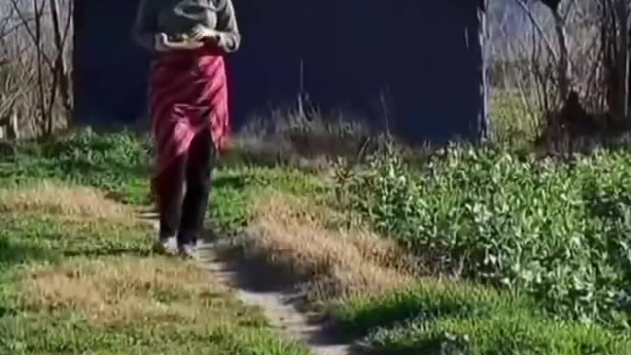 village Morning Daily routine 02