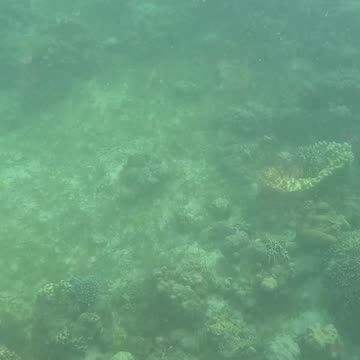 Snorkeling Morning!!