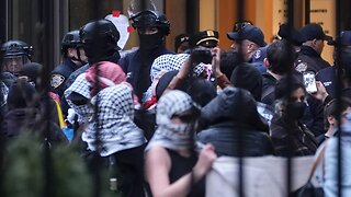 Democrats under fire for backing arrested pro-Hamas agitator