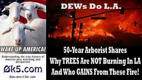 50-Year Arborist Shares Why TREES Are NOT Burning In LA And Who GAINS From These Fire!