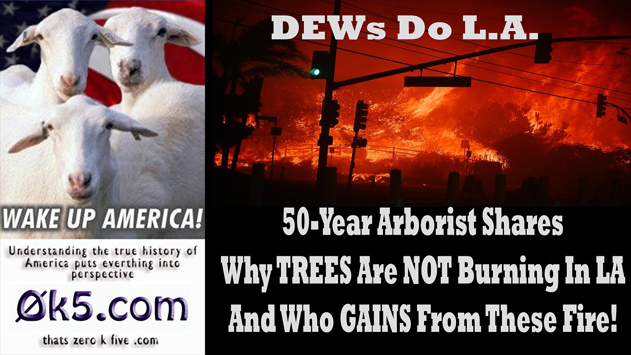50-Year Arborist Shares Why TREES Are NOT Burning In LA And Who GAINS From These Fire!