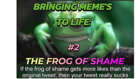 Bringing Meme's To Life: #2 The Frog Of Shame