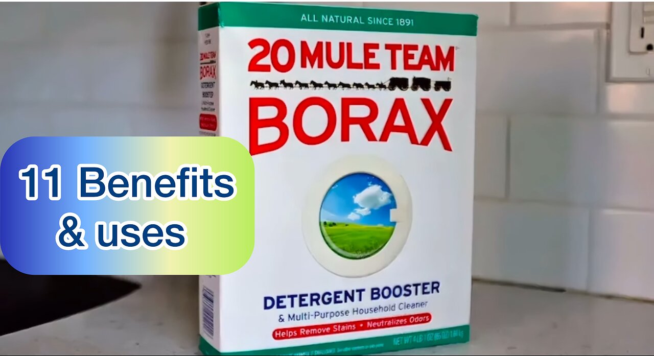 BORAX BENEFITS & USE!