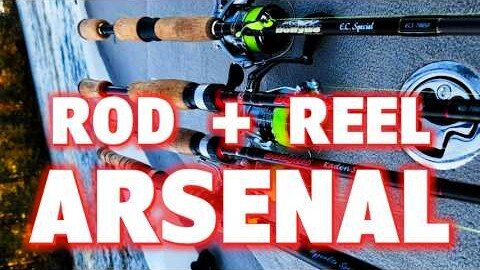 Expert Review! Every DOBYNS Spinning Rod in My 2025 Tournament Arsenal!