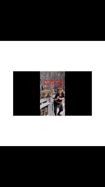 Monkey got Mad at Annoying Tourist