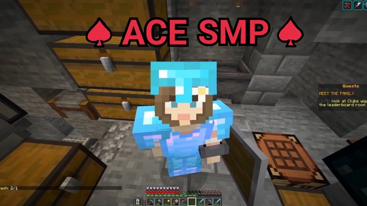 Come Hang Out On My New 1.19 Minecraft Server! ACE SMP!