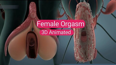 Female Orgasm| The Power of Her Pleasure: Exploring Female Orgasms| 3D Animated