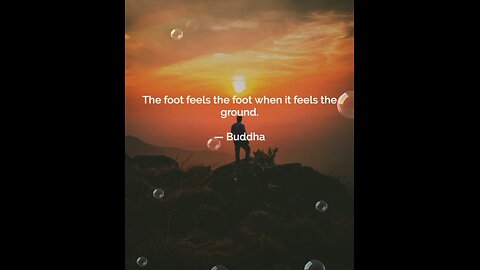 Your Qoute For A Day 286