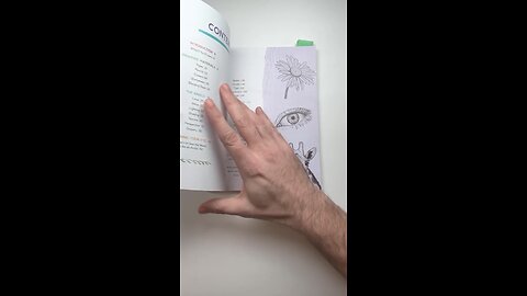 Sneak peek at my how-to-draw book!