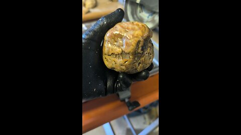 Brecciated Ball of Jasper Cut!