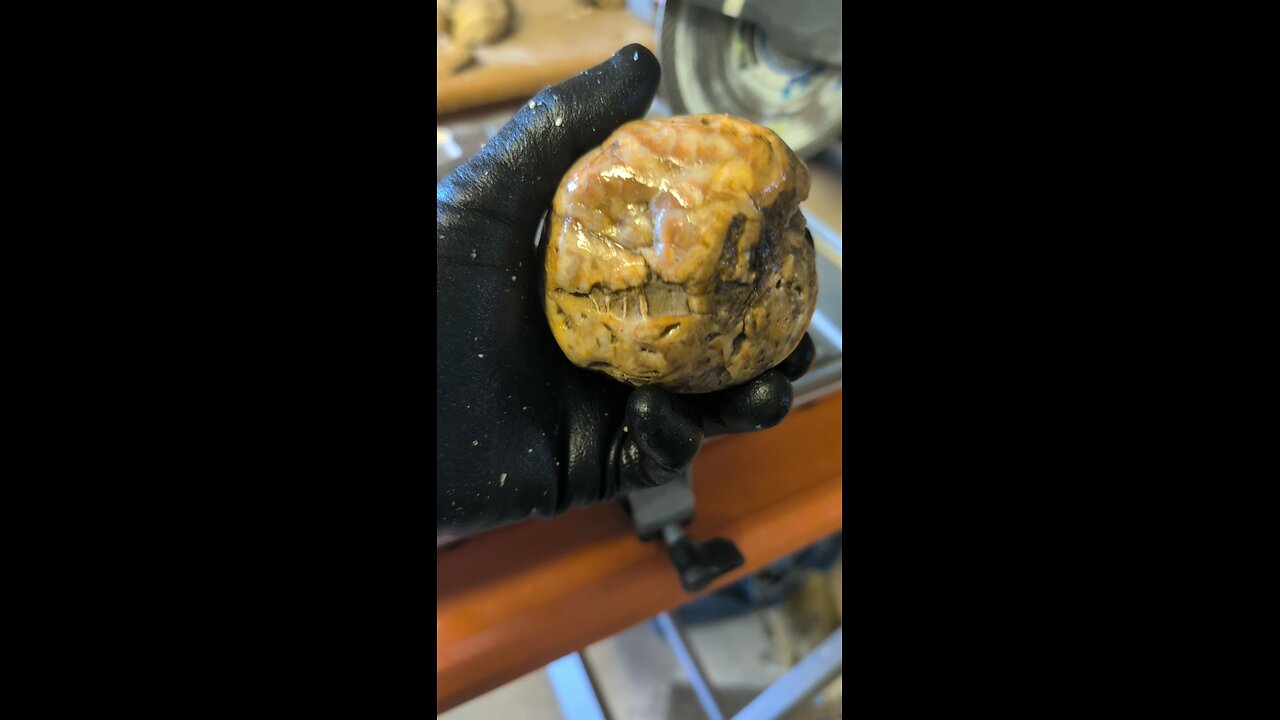 Brecciated Ball of Jasper Cut!