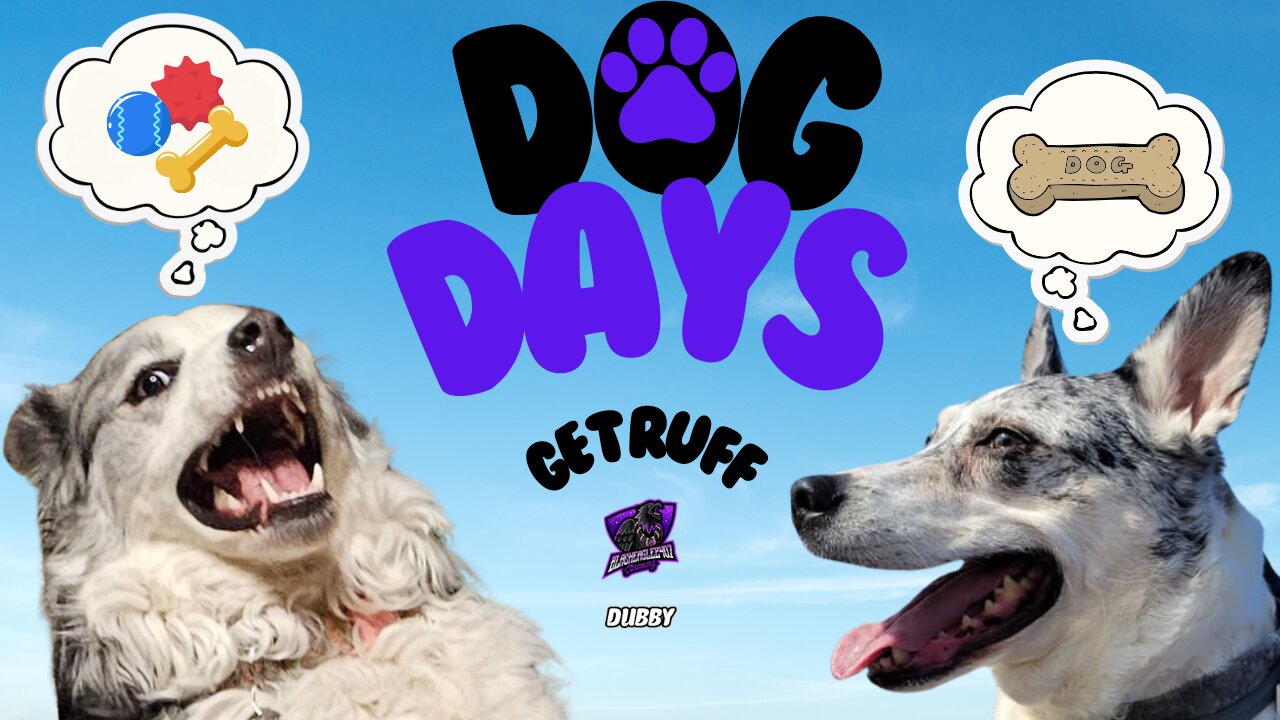 Dog Days: Get Ruff [Blue Heeler | Husky | Australian Shepherd]