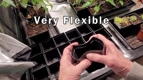 The Seedling Pots I'm Using This Year - They Are Very Flexible and Durable