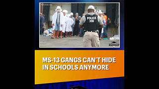 🚌MS-13 Gangs Can’t Hide In Schools Anymore