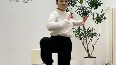 0100.平衡晃樁