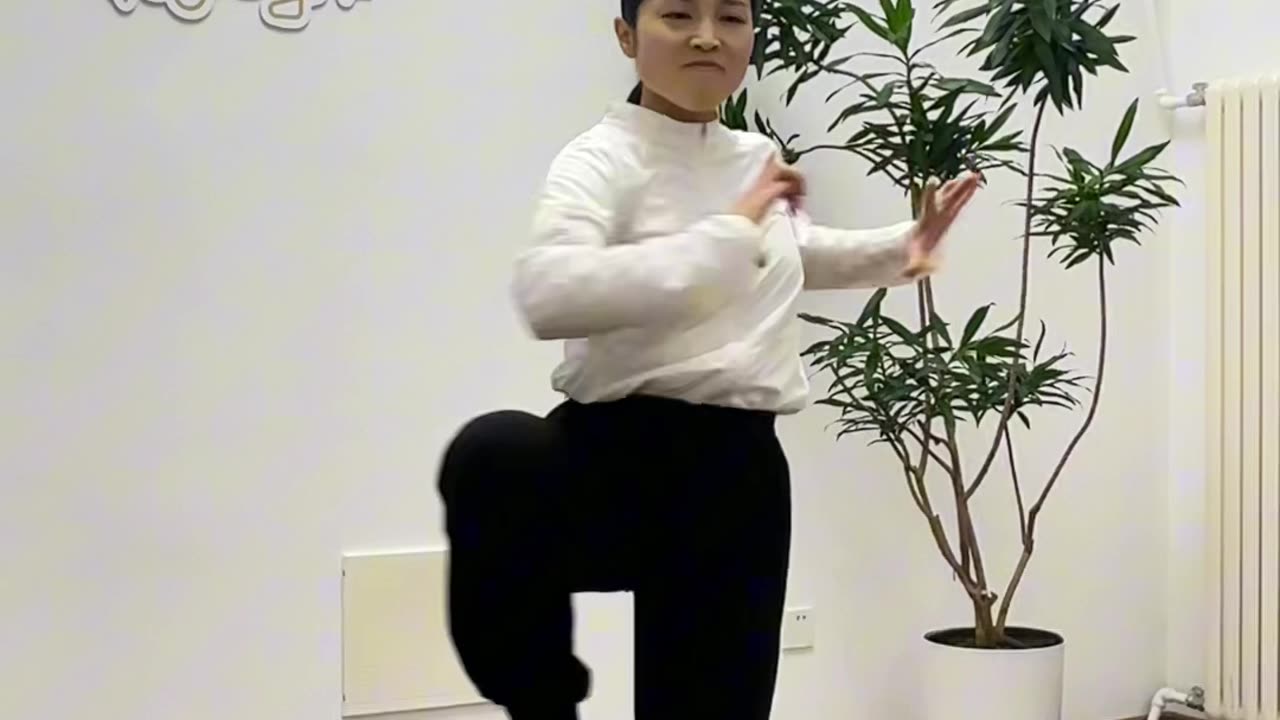 0100.平衡晃樁