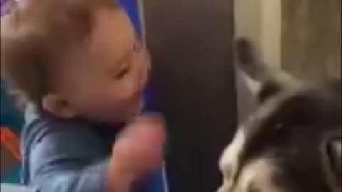 Dog's Loving Reaction To Baby Is Simply Priceless!