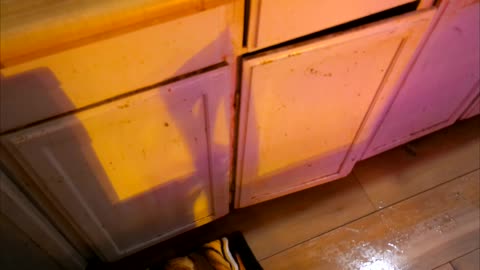 How dirty were they: Cabinet Cleaning & Organization