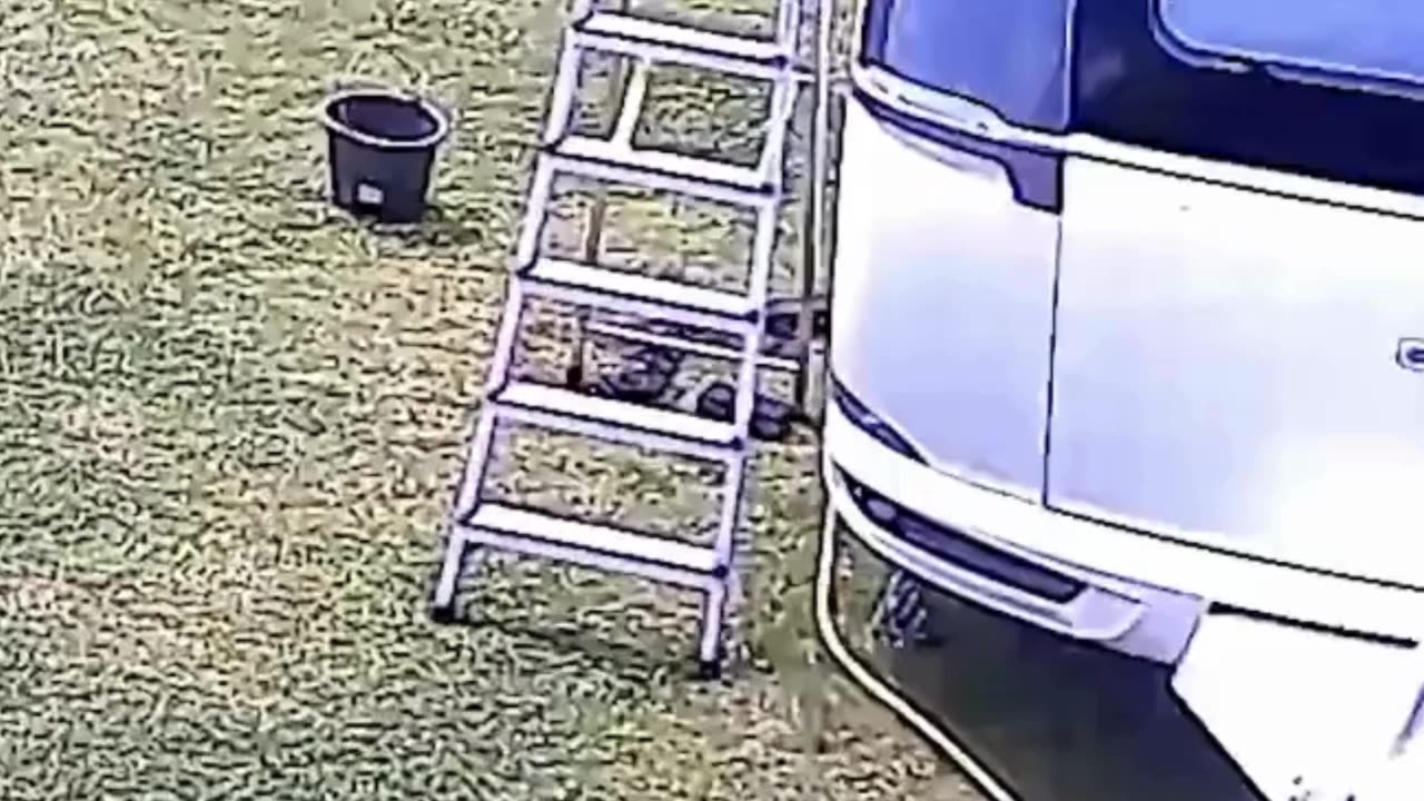 If you laugh you restart 😂😂🤣 #viral #shorts #fails #funny #fail