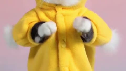 Duck Cat Dancing #cat #dancingcat #petdance #dancingpets #catdancer #dance #funny #penguin #duck