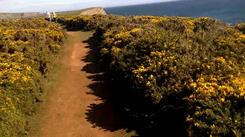 Wales 2015