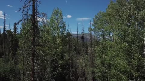 America the Beautiful at Thirty Mile