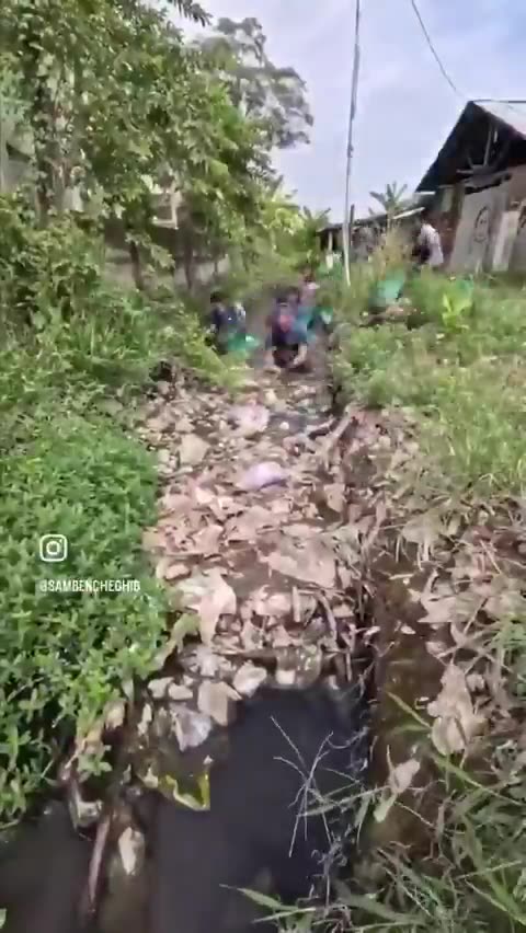 Real environmental activists spend their time on activities like this—not throwing orange...