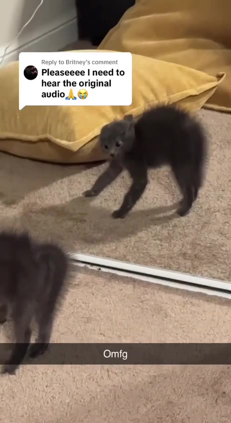 When you don’t like what you see in the mirror 🤣