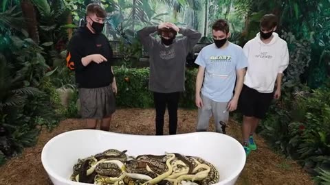 Would You Sit In Snakes For $10,000?