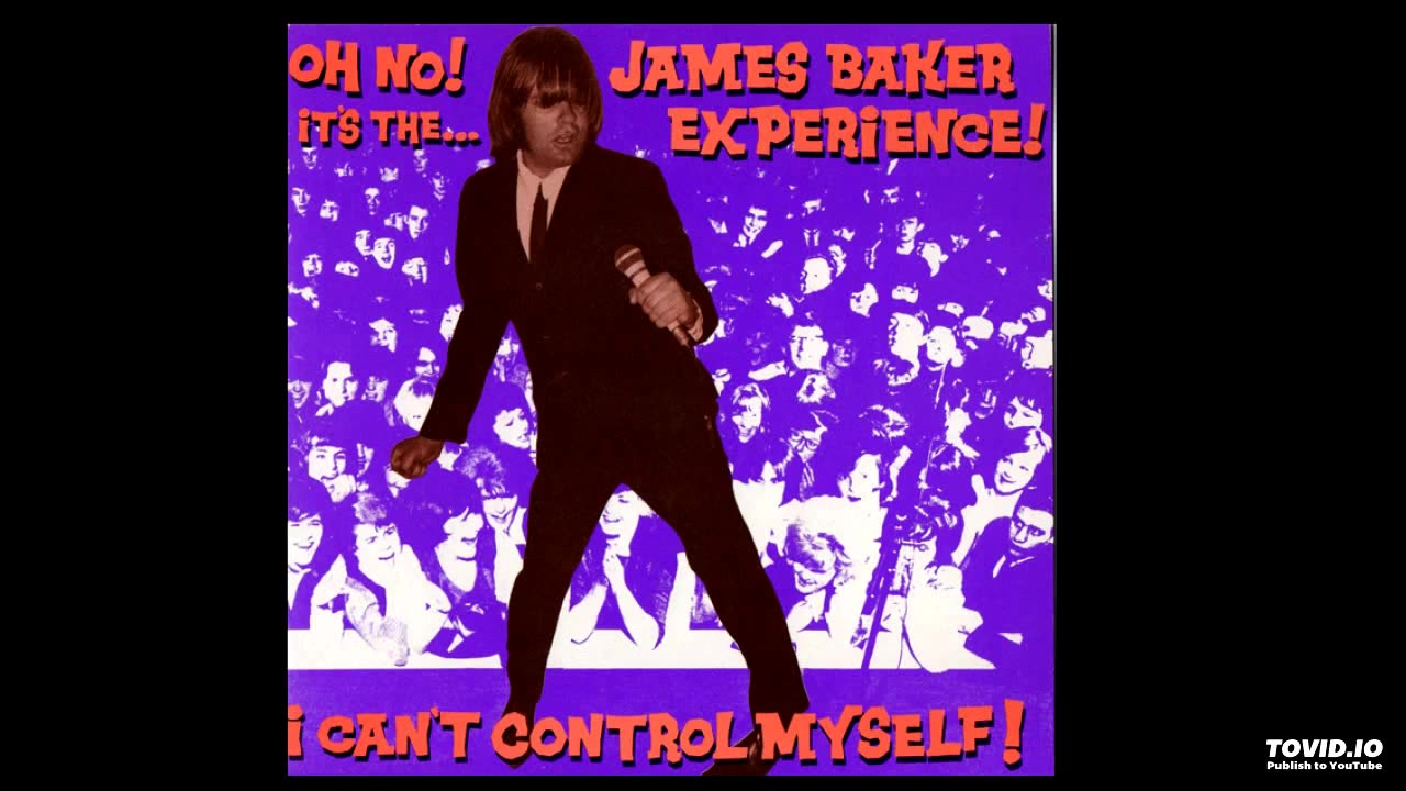 JAMES BAKER EXPERIENCE - Born To Be Punched