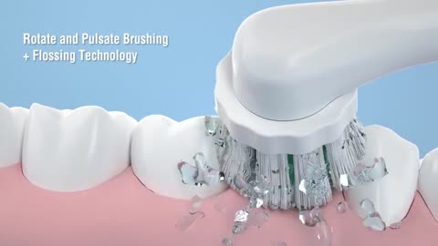 quip 360 Oscillating Electric