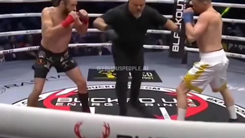 UFC Funny