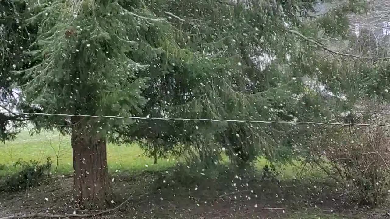 Global warming is....something