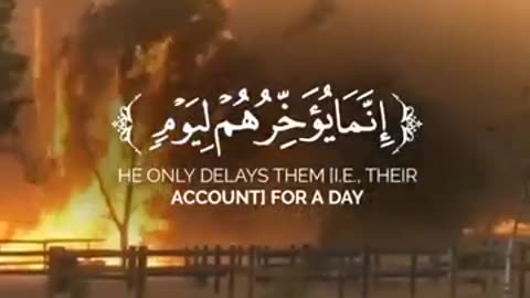 ولا تحسبن الله غافلاً عما يعمل الظالمون.