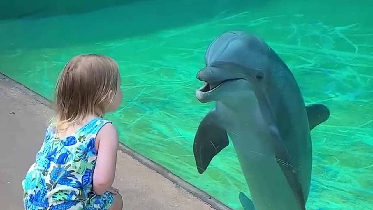 Little Girl with Dolphin