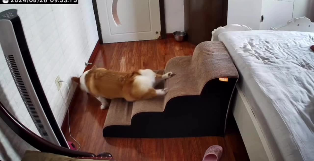 How 2025 is going so far 😂