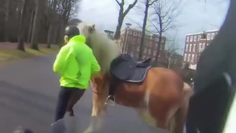 Helping Her Retrieve a Runaway Horse – A Wild Chase!