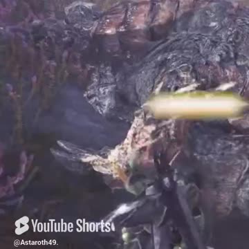 McDicken. Monster Hunter? No, really, never work harder or smarter. #monsterhunterworldiceborne