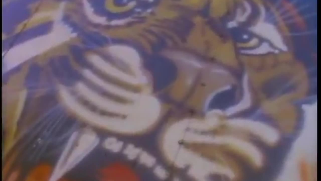DEF LEPPARD - Animal