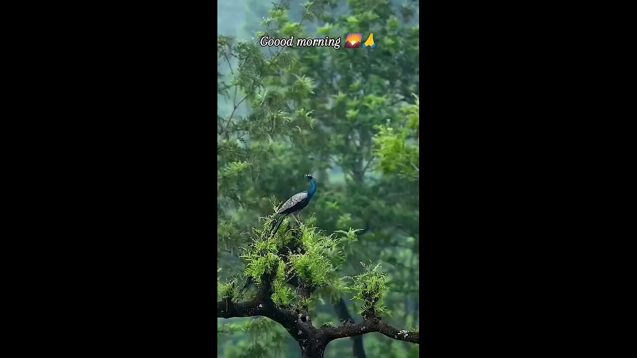 Teri Hai Zameen Tera Asman