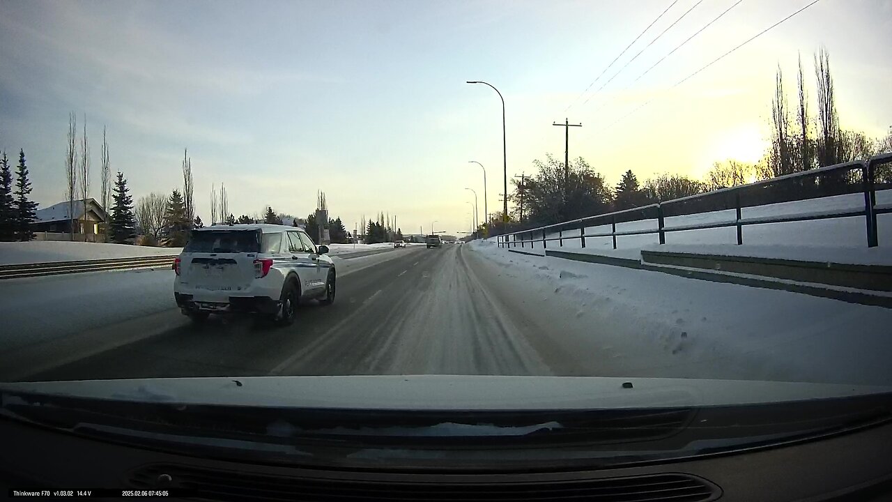 Drunk Red deer Peace officer