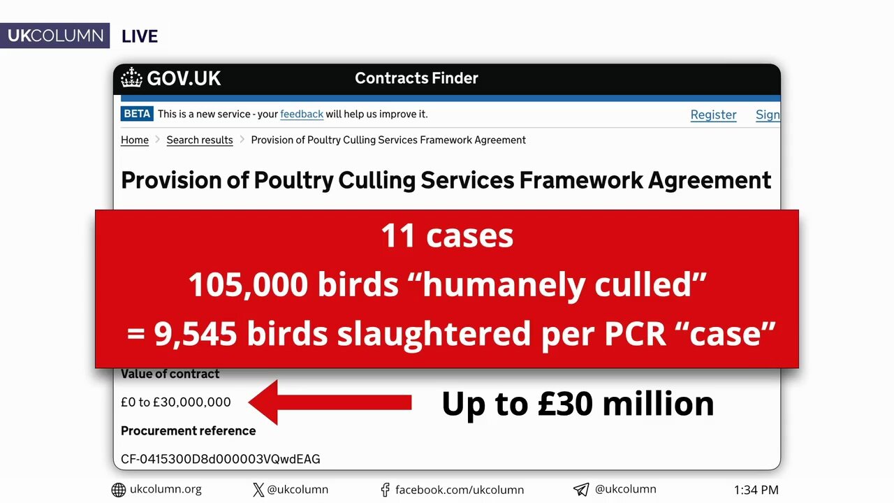 Bird Flu Latest: £30 Million Contract for ‘Humane Slaughter’ of Poultry Up for Grabs - UK Column