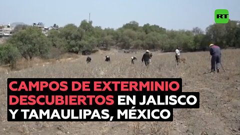 Hallan en México más campos de exterminio en Jalisco y Tamaulipas