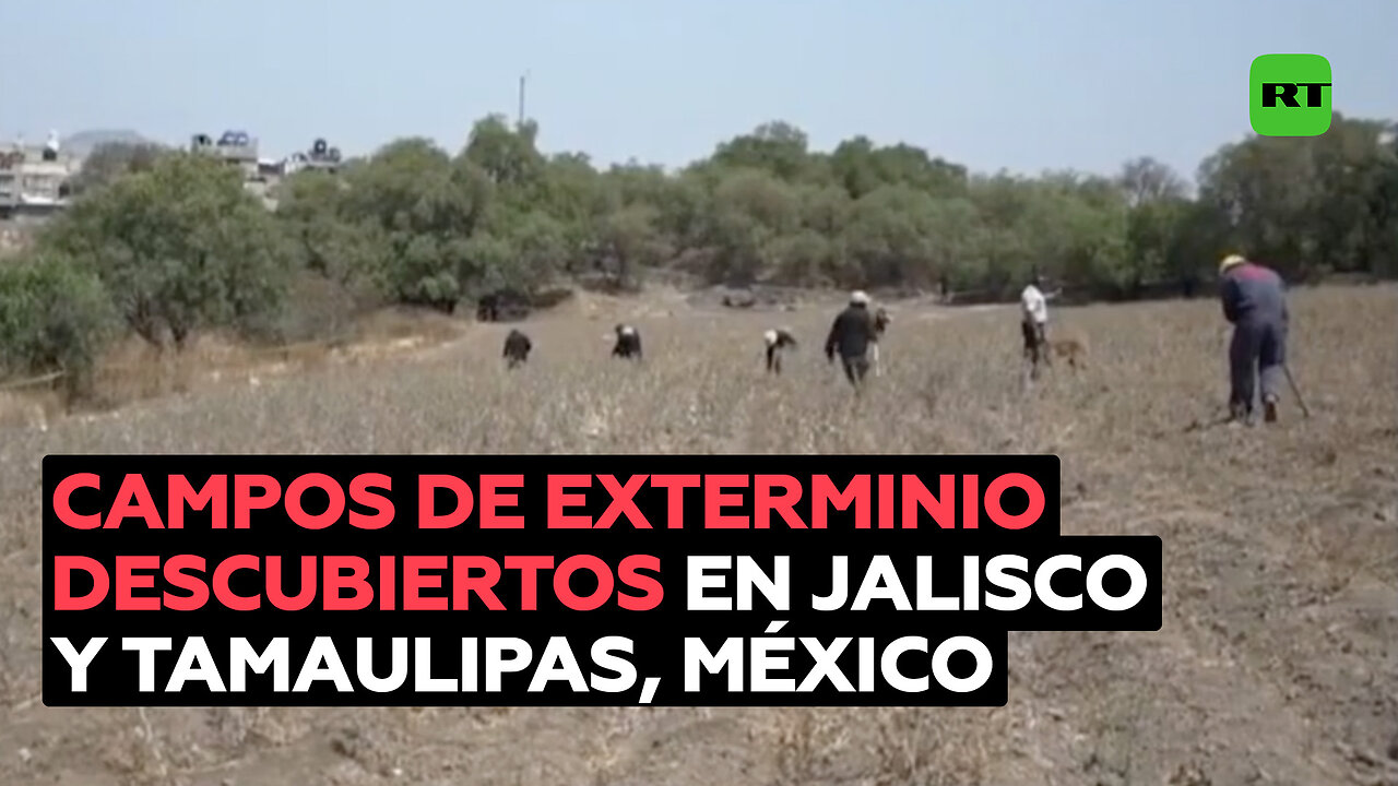 Hallan en México más campos de exterminio en Jalisco y Tamaulipas