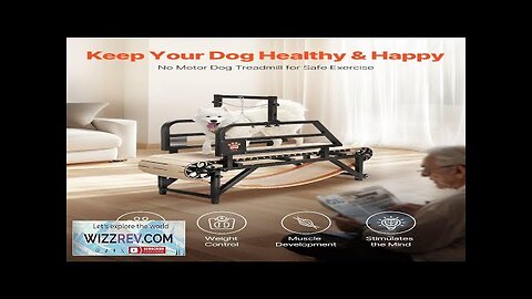 Dog Treadmill for Medium Dogs up to 220 lbs Indoor Pet Running Review