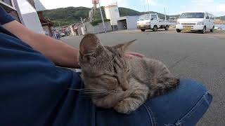 There was a stray cat sleeping on a bench, so I sat next to it and it climbed onto my lap.