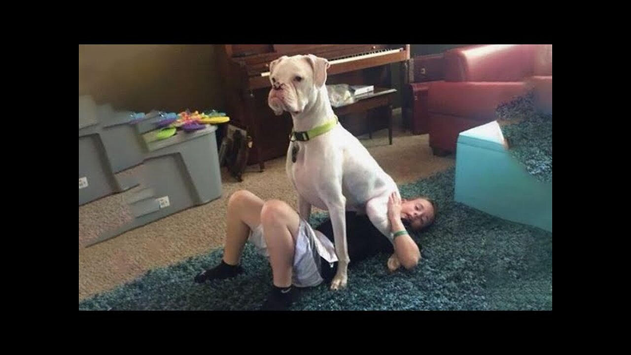 Animal Fun And X Video/Girl And Funny Dog For Fun