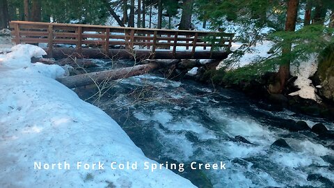 FINAL REVIEW Strategies & Tips Descending Tamanawas Falls Trail | 4K Winter Ice Snow Hiking Mt. Hood